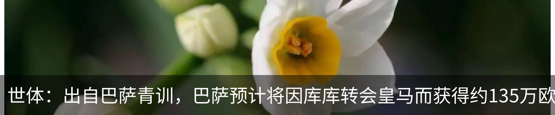 资讯中心